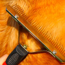 Perie pentru Animale Companie