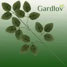 Set 12 Frunze Artificiale - 47 cm - Gardlov
