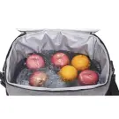 Geantă de picnic izotermă Trizand 20L, gri