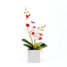 Műnövény dekoráció - orchidea - 3 féle - 37 cm