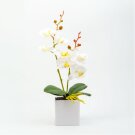 Műnövény dekoráció - orchidea - 3 féle - 37 cm