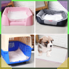 Covorașe igienice absorbante pentru animale de companie 60 x 90 cm – set 50 bucăți